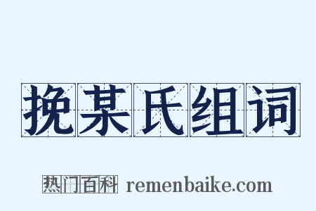 挽某氏组词是什么意思的图片